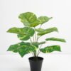 Artificial Plant 48*42*51cm Real touch Rohdea japonica in PP pot GS-03321080 Potted Flowers&Plants YeahFlower is one of Chinese leading OEM manufacturers and exporters , supplying the silk flowers, wholesale artificial trees