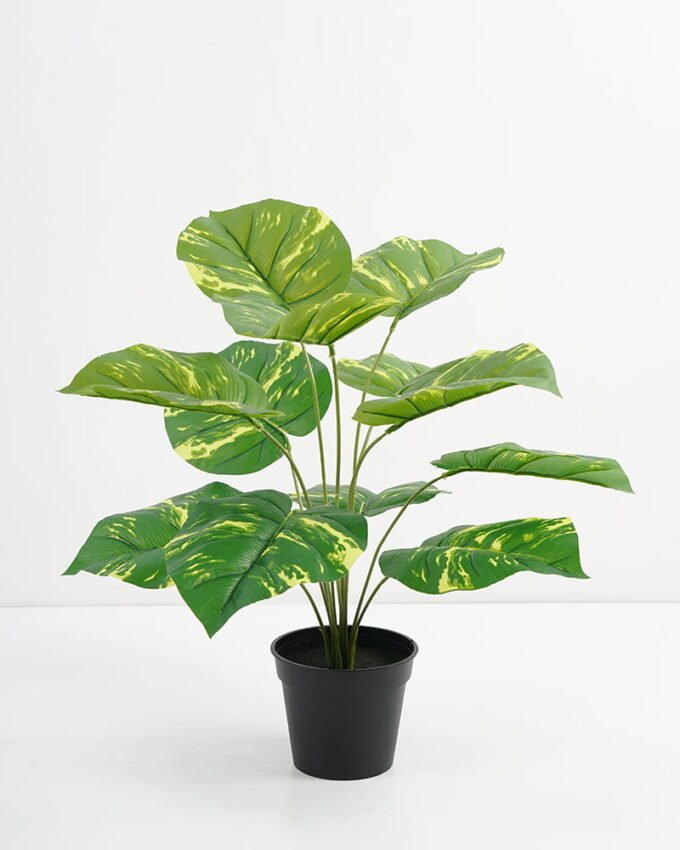 Artificial Plant 48*42*51cm Real touch Rohdea japonica in PP pot GS-03321080 Potted Flowers&Plants YeahFlower is one of Chinese leading OEM manufacturers and exporters , supplying the silk flowers, wholesale artificial trees