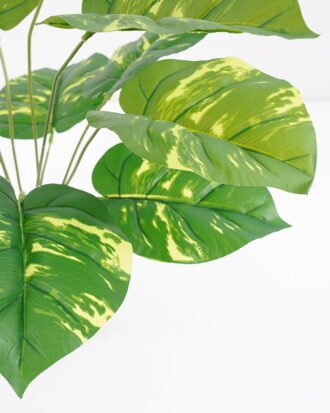 Artificial Plant 48*42*51cm Real touch Rohdea japonica in PP pot GS-03321080 Potted Flowers&Plants YeahFlower is one of Chinese leading OEM manufacturers and exporters , supplying the silk flowers, wholesale artificial trees