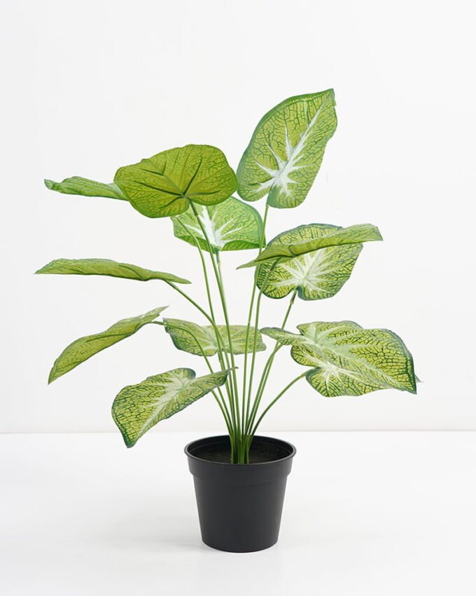 Artificial Plant 48*42*51cm Real touch Taro Leaf in PP pot GS-03321077 Potted Flowers&Plants YeahFlower is one of Chinese leading OEM manufacturers and exporters , supplying the silk flowers, wholesale artificial trees