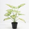 Artificial Plant 48*42*51cm Real touch Taro Leaf in PP pot GS-03321078 Potted Flowers&Plants 3,000+ sqm showroom with thousands of artificial flowers, plants & trees ready for global sourcing.