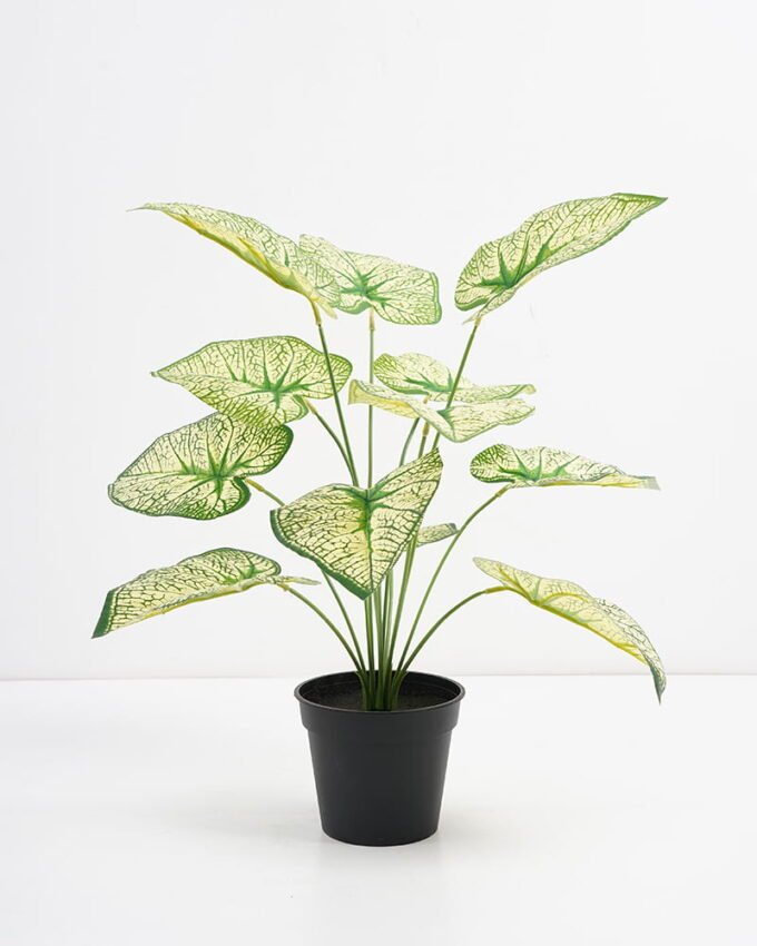 Artificial Plant 48*42*51cm Real touch Taro Leaf in PP pot GS-03321078 Potted Flowers&Plants 3,000+ sqm showroom with thousands of artificial flowers, plants & trees ready for global sourcing.