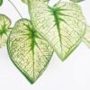 Artificial Plant 48*42*51cm Real touch Taro Leaf in PP pot GS-03321078 Potted Flowers&Plants 3,000+ sqm showroom with thousands of artificial flowers, plants & trees ready for global sourcing.