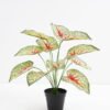 Artificial Plant 48*42*51cm Real touch Taro Leaf in PP pot GS-03321079 Potted Flowers&Plants YeahFlower is one of Chinese leading OEM manufacturers and exporters , supplying the silk flowers, wholesale artificial trees
