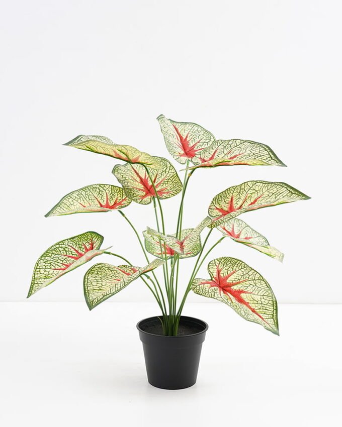 Artificial Plant 48*42*51cm Real touch Taro Leaf in PP pot GS-03321079 Potted Flowers&Plants YeahFlower is one of Chinese leading OEM manufacturers and exporters , supplying the silk flowers, wholesale artificial trees