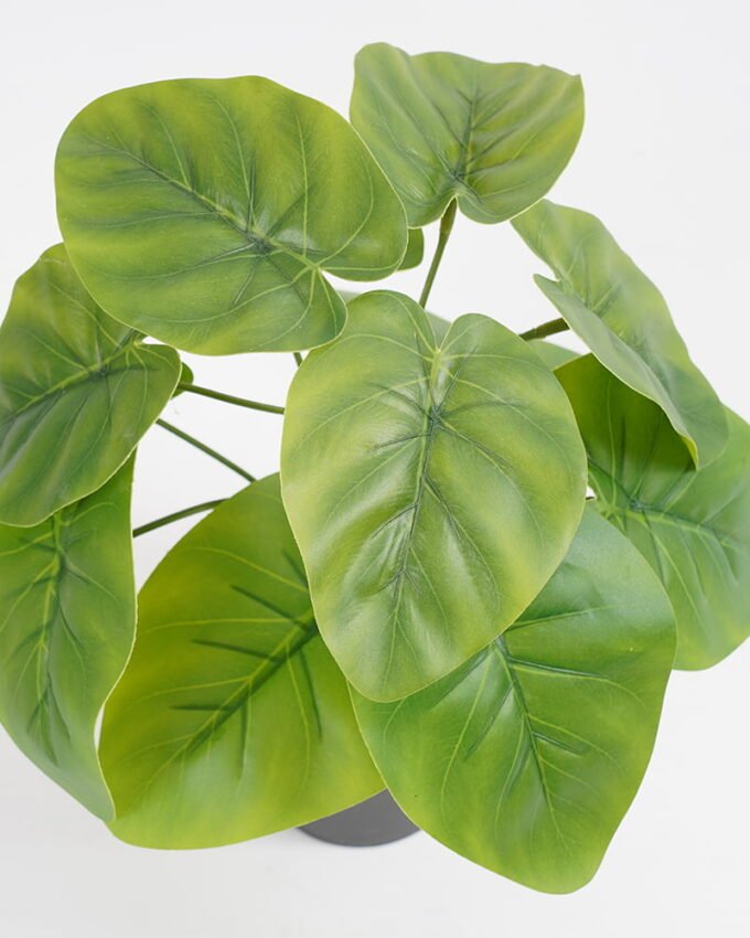 Artificial Plant 26*26*27cm Real touch Taro leaf in PP pot GS-03321089 Potted Flowers&Plants 3,000+ sqm showroom with thousands of artificial flowers, plants & trees ready for global sourcing.
