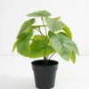 Artificial Plant 26*26*27cm Real touch Taro leaf in PP pot GS-03321089 Potted Flowers&Plants 3,000+ sqm showroom with thousands of artificial flowers, plants & trees ready for global sourcing.