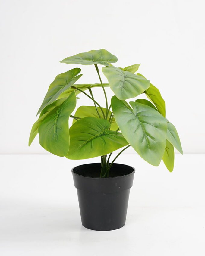 Artificial Plant 26*26*27cm Real touch Taro leaf in PP pot GS-03321089 Potted Flowers&Plants 3,000+ sqm showroom with thousands of artificial flowers, plants & trees ready for global sourcing.