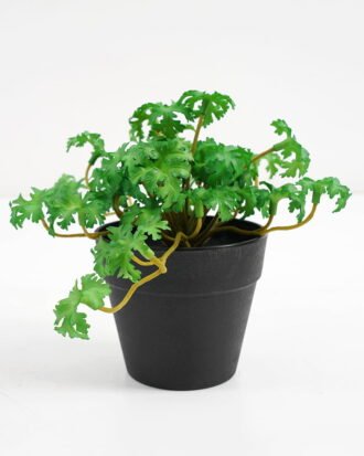 Artificial Plant 25*17*14.5cm Real touch mini leaf in Plastic Pot GS-03321014 Potted Flowers&Plants YeahFlower is one of Chinese leading OEM manufacturers and exporters , supplying the silk flowers, wholesale artificial trees