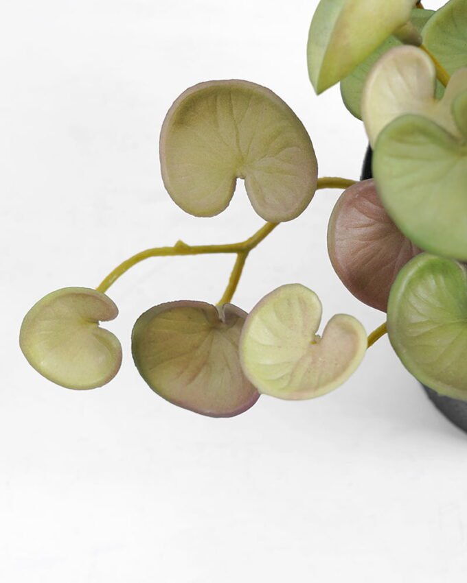 Artificial Plant 25*17*14.5cm Real touch mini leaf in Plastic Pot GS-03321015 Potted Flowers&Plants YeahFlower is one of Chinese leading OEM manufacturers and exporters , supplying the silk flowers, wholesale artificial trees