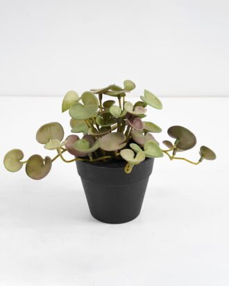 Artificial Plant 25*17*14.5cm Real touch mini leaf in Plastic Pot GS-03321015 Potted Flowers&Plants YeahFlower is one of Chinese leading OEM manufacturers and exporters , supplying the silk flowers, wholesale artificial trees