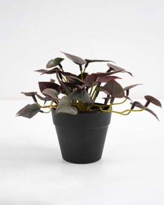 Artificial Plant 25*17*14.5cm Real touch mini leaf in Plastic Pot GS-03321016 Potted Flowers&Plants YeahFlower is one of Chinese leading OEM manufacturers and exporters , supplying the silk flowers, wholesale artificial trees