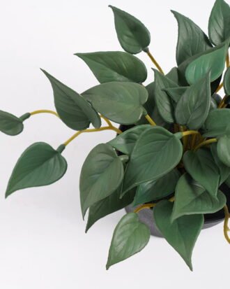 Artificial Plant 25*17*14.5cm Real touch mini leaf in Plastic Pot GS-03321017 Potted Flowers&Plants YeahFlower is one of Chinese leading OEM manufacturers and exporters , supplying the silk flowers, wholesale artificial trees