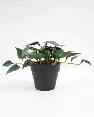Artificial Plant 25*17*14.5cm Real touch mini leaf in Plastic Pot GS-03321017 Potted Flowers&Plants YeahFlower is one of Chinese leading OEM manufacturers and exporters , supplying the silk flowers, wholesale artificial trees