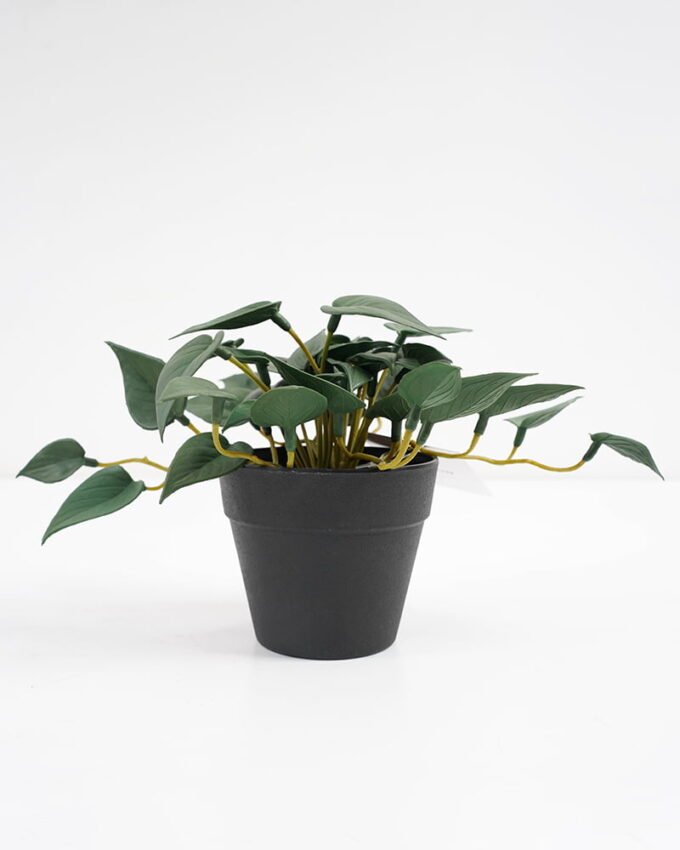 Artificial Plant 25*17*14.5cm Real touch mini leaf in Plastic Pot GS-03321017 Potted Flowers&Plants YeahFlower is one of Chinese leading OEM manufacturers and exporters , supplying the silk flowers, wholesale artificial trees