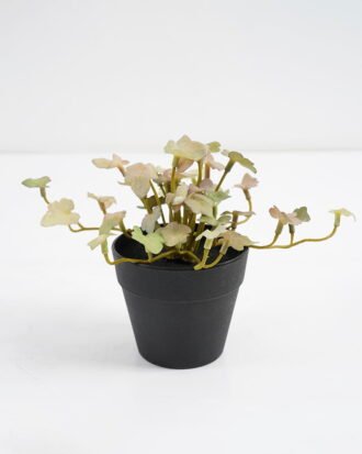 Artificial Plant 25*17*14.5cm Real touch mini leaf in Plastic Pot GS-03321018 Potted Flowers&Plants YeahFlower is one of Chinese leading OEM manufacturers and exporters , supplying the silk flowers, wholesale artificial trees