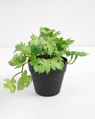 Artificial Plant 25*17*14.5cm Real touch mini leaf in Plastic Pot GS-03321019 Potted Flowers&Plants YeahFlower is one of Chinese leading OEM manufacturers and exporters , supplying the silk flowers, wholesale artificial trees