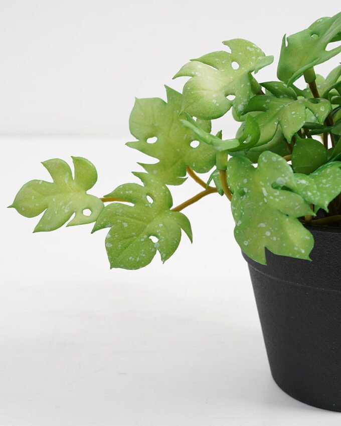 Artificial Plant 25*17*14.5cm Real touch mini leaf in Plastic Pot GS-03321019 Potted Flowers&Plants YeahFlower is one of Chinese leading OEM manufacturers and exporters , supplying the silk flowers, wholesale artificial trees