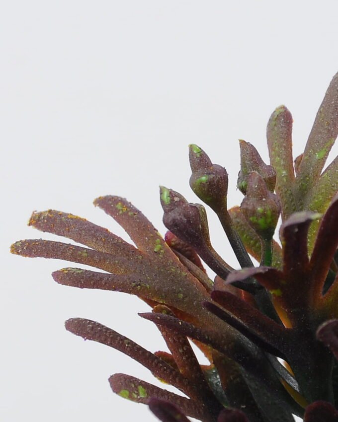 Artificial Plant 18*34cm Reed grass*5 GS-62021019-Z1 Leaves&Sprays&Foliages YeahFlower is one of Chinese leading OEM manufacturers and exporters , supplying the silk flowers, wholesale artificial trees