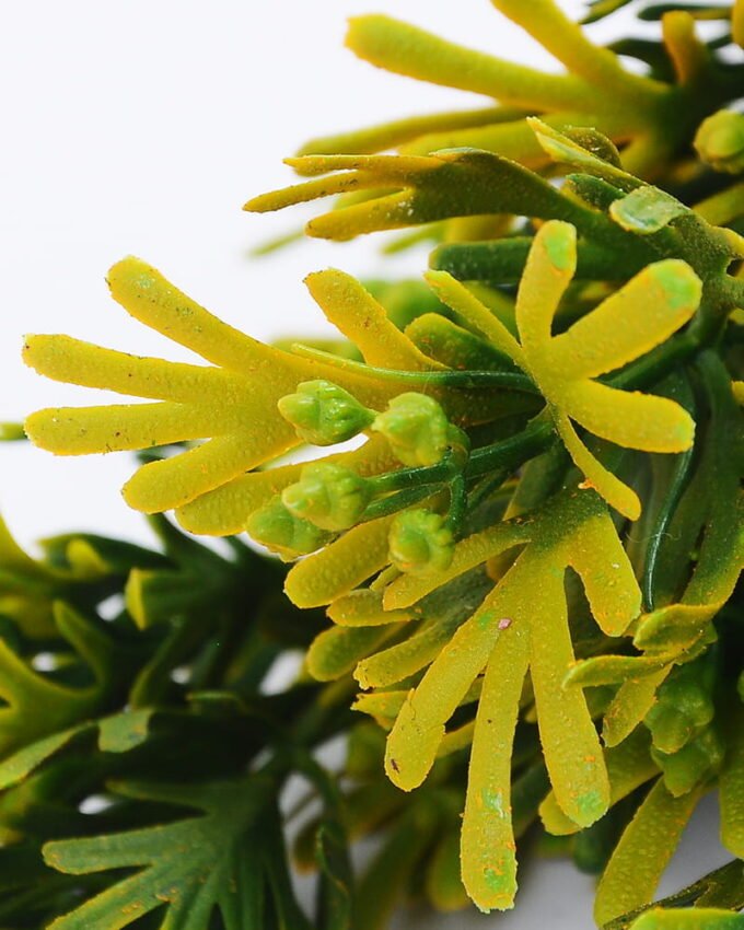 Artificial Plant 18*34cm Reed grass*5 GS-62021019 Leaves&Sprays&Foliages YeahFlower is one of Chinese leading OEM manufacturers and exporters , supplying the silk flowers, wholesale artificial trees