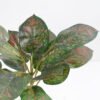 Artificial Plant 31*31*43cm Rohdea japonica GS-06921036 Potted Flowers&Plants 3,000+ sqm showroom with thousands of artificial flowers, plants & trees ready for global sourcing.