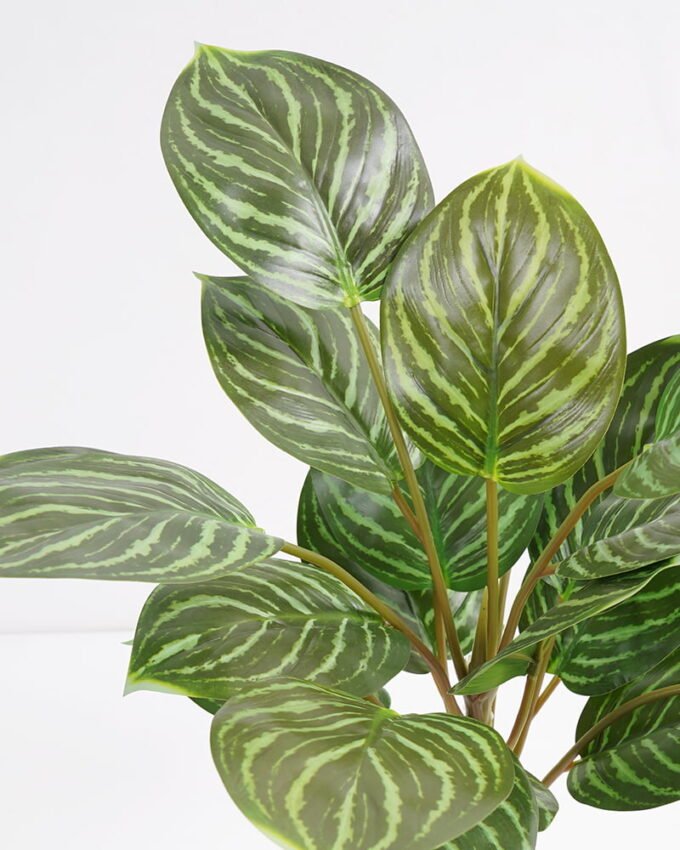 Artificial Plant 31*31*43cm Rohdea japonica GS-06921037 Potted Flowers&Plants 3,000+ sqm showroom with thousands of artificial flowers, plants & trees ready for global sourcing.