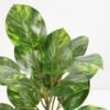 Artificial Plant 31*31*43cm Rohdea japonica GS-06921041 Potted Flowers&Plants 3,000+ sqm showroom with thousands of artificial flowers, plants & trees ready for global sourcing.
