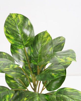 Artificial Plant 31*31*43cm Rohdea japonica GS-06921041 Potted Flowers&Plants YeahFlower is one of Chinese leading OEM manufacturers and exporters , supplying the silk flowers, wholesale artificial trees