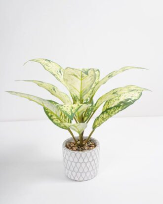 Artificial Plant 33*33*34cm Rohdea japonica in Cement pot GS-06921030-G2 Potted Flowers&Plants YeahFlower is one of Chinese leading OEM manufacturers and exporters , supplying the silk flowers, wholesale artificial trees