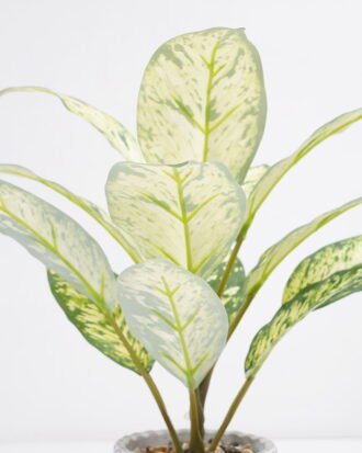 Artificial Plant 33*33*34cm Rohdea japonica in Cement pot GS-06921030-G2 Potted Flowers&Plants YeahFlower is one of Chinese leading OEM manufacturers and exporters , supplying the silk flowers, wholesale artificial trees