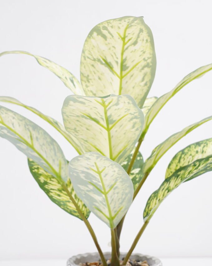 Artificial Plant 33*33*34cm Rohdea japonica in Cement pot GS-06921030-G2 Potted Flowers&Plants YeahFlower is one of Chinese leading OEM manufacturers and exporters , supplying the silk flowers, wholesale artificial trees