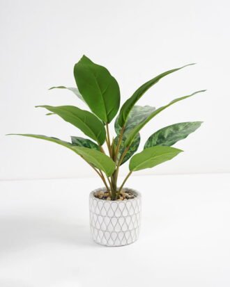 Artificial Plant 33*33*34cm Rohdea japonica in Cement pot GS-06921030-G3 Potted Flowers&Plants YeahFlower is one of Chinese leading OEM manufacturers and exporters , supplying the silk flowers, wholesale artificial trees