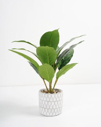 Artificial Plant 33*33*34cm Rohdea japonica in Cement pot GS-06921030-G3 Potted Flowers&Plants YeahFlower is one of Chinese leading OEM manufacturers and exporters , supplying the silk flowers, wholesale artificial trees