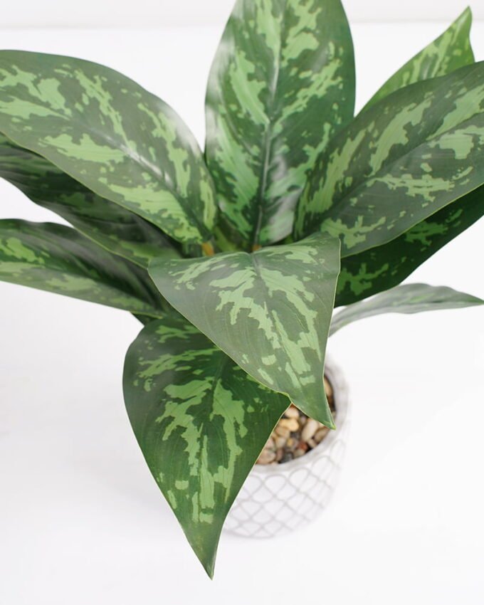 Artificial Plant 33*33*34cm Rohdea japonica in Cement pot GS-06921030-G3 Potted Flowers&Plants YeahFlower is one of Chinese leading OEM manufacturers and exporters , supplying the silk flowers, wholesale artificial trees