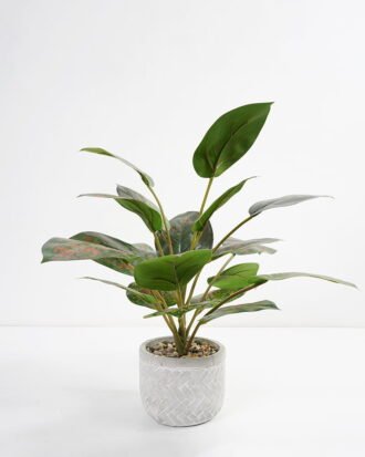Artificial Plant 35*35*42cm Rohdea japonica in Cement pot GS-06921031-G1 Potted Flowers&Plants YeahFlower is one of Chinese leading OEM manufacturers and exporters , supplying the silk flowers, wholesale artificial trees
