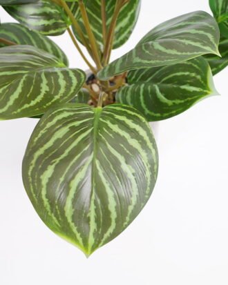 Artificial Plant 35*35*42cm Rohdea japonica in Cement pot GS-06921031-G2 Potted Flowers&Plants YeahFlower is one of Chinese leading OEM manufacturers and exporters , supplying the silk flowers, wholesale artificial trees