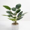 Artificial Plant 35*35*42cm Rohdea japonica in Cement pot GS-06921031-G3 Potted Flowers&Plants YeahFlower is one of Chinese leading OEM manufacturers and exporters , supplying the silk flowers, wholesale artificial trees