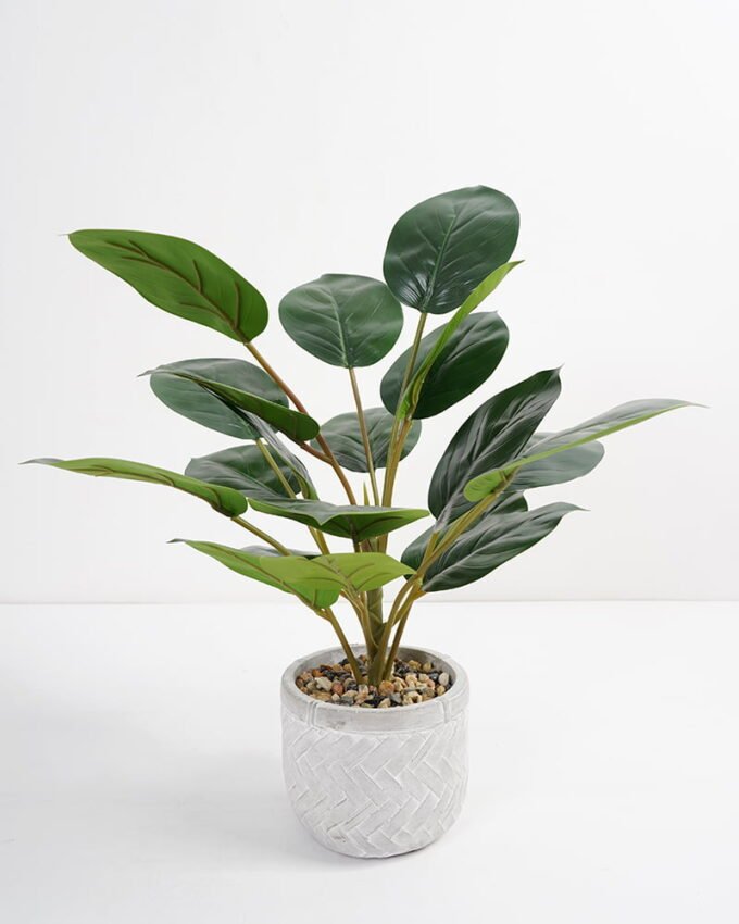 Artificial Plant 35*35*42cm Rohdea japonica in Cement pot GS-06921031-G3 Potted Flowers&Plants YeahFlower is one of Chinese leading OEM manufacturers and exporters , supplying the silk flowers, wholesale artificial trees