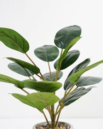 Artificial Plant 35*35*42cm Rohdea japonica in Cement pot GS-06921031-G3 Potted Flowers&Plants YeahFlower is one of Chinese leading OEM manufacturers and exporters , supplying the silk flowers, wholesale artificial trees