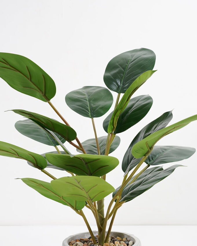 Artificial Plant 35*35*42cm Rohdea japonica in Cement pot GS-06921031-G3 Potted Flowers&Plants YeahFlower is one of Chinese leading OEM manufacturers and exporters , supplying the silk flowers, wholesale artificial trees