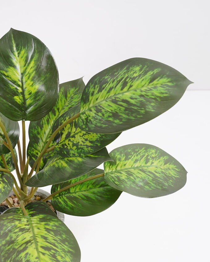 Artificial Plant 35*35*42cm Rohdea japonica in Cement pot GS-06921031-G4 Potted Flowers&Plants YeahFlower is one of Chinese leading OEM manufacturers and exporters , supplying the silk flowers, wholesale artificial trees