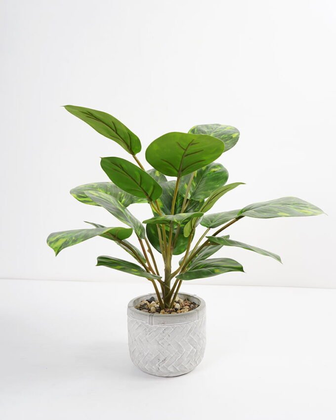 Artificial Plant 35*35*42cm Rohdea japonica in Cement pot GS-06921031-G5 Potted Flowers&Plants YeahFlower is one of Chinese leading OEM manufacturers and exporters , supplying the silk flowers, wholesale artificial trees