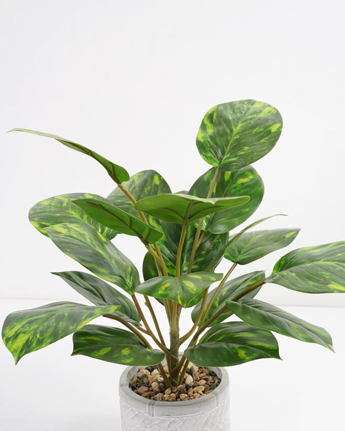 Artificial Plant 35*35*42cm Rohdea japonica in Cement pot GS-06921031-G5 Potted Flowers&Plants YeahFlower is one of Chinese leading OEM manufacturers and exporters , supplying the silk flowers, wholesale artificial trees
