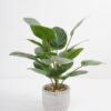 Artificial Plant 35*35*42cm Rohdea japonica in Cement pot GS-06921031-G5 Potted Flowers&Plants YeahFlower is one of Chinese leading OEM manufacturers and exporters , supplying the silk flowers, wholesale artificial trees