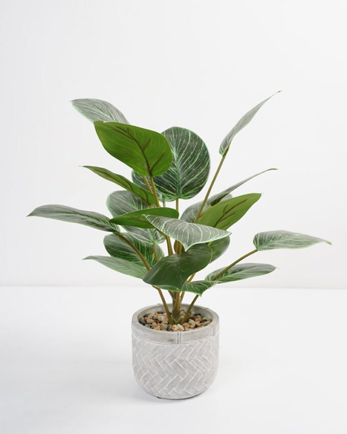 Artificial Plant 35*35*42cm Rohdea japonica in Cement pot GS-06921031-G5 Potted Flowers&Plants YeahFlower is one of Chinese leading OEM manufacturers and exporters , supplying the silk flowers, wholesale artificial trees