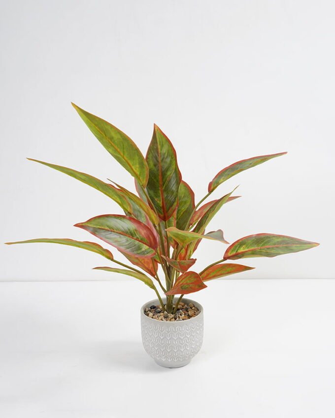 Artificial Plant 38*38*45cm Rohdea japonica in Cement pot GS-06921032-G1 Potted Flowers&Plants 3,000+ sqm showroom with thousands of artificial flowers, plants & trees ready for global sourcing.