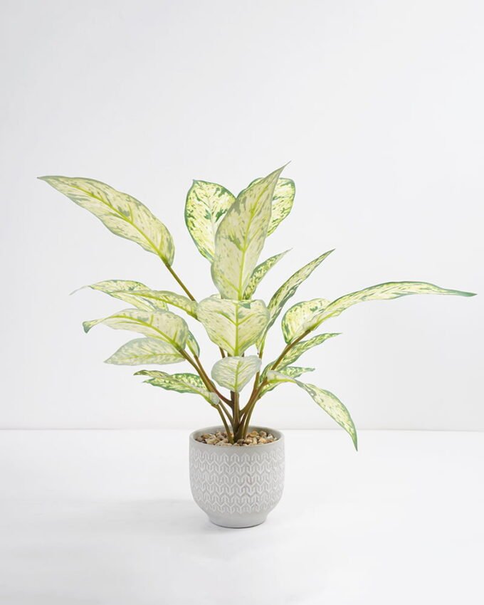 Artificial Plant 38*38*45cm Rohdea japonica in Cement pot GS-06921032-G2 Potted Flowers&Plants 3,000+ sqm showroom with thousands of artificial flowers, plants & trees ready for global sourcing.