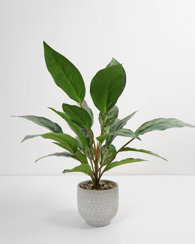 Artificial Plant 38*38*45cm Rohdea japonica in Cement pot GS-06921032-G3 Potted Flowers&Plants 3,000+ sqm showroom with thousands of artificial flowers, plants & trees ready for global sourcing.