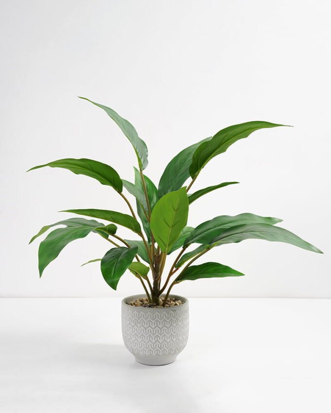 Artificial Plant 38*38*45cm Rohdea japonica in Cement pot GS-06921032-G4 Potted Flowers&Plants 3,000+ sqm showroom with thousands of artificial flowers, plants & trees ready for global sourcing.