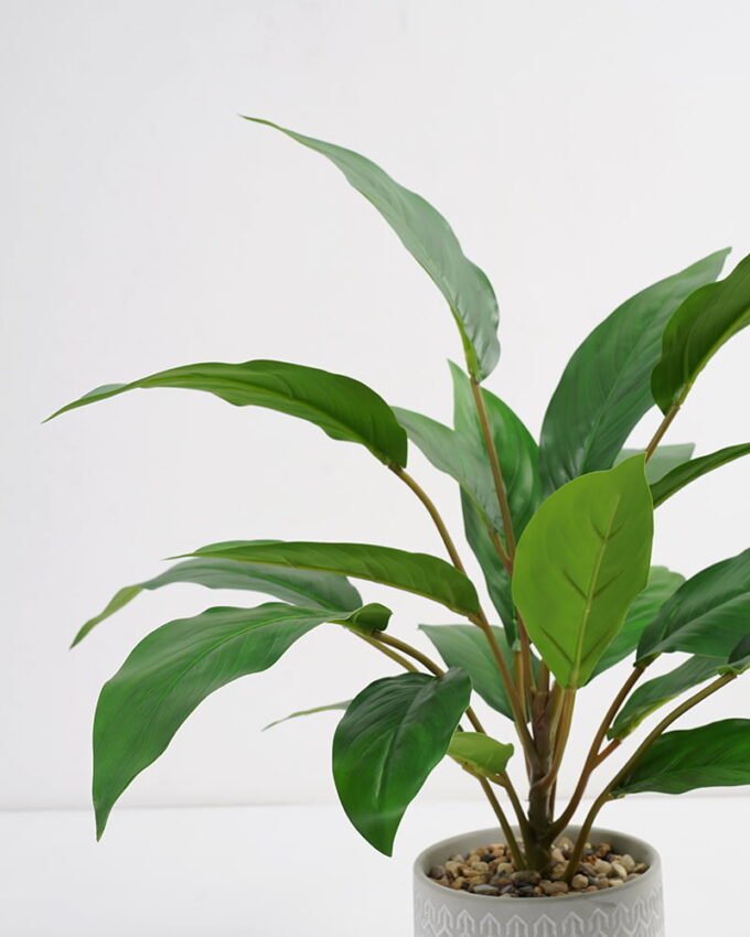 Artificial Plant 38*38*45cm Rohdea japonica in Cement pot GS-06921032-G4 Potted Flowers&Plants 3,000+ sqm showroom with thousands of artificial flowers, plants & trees ready for global sourcing.